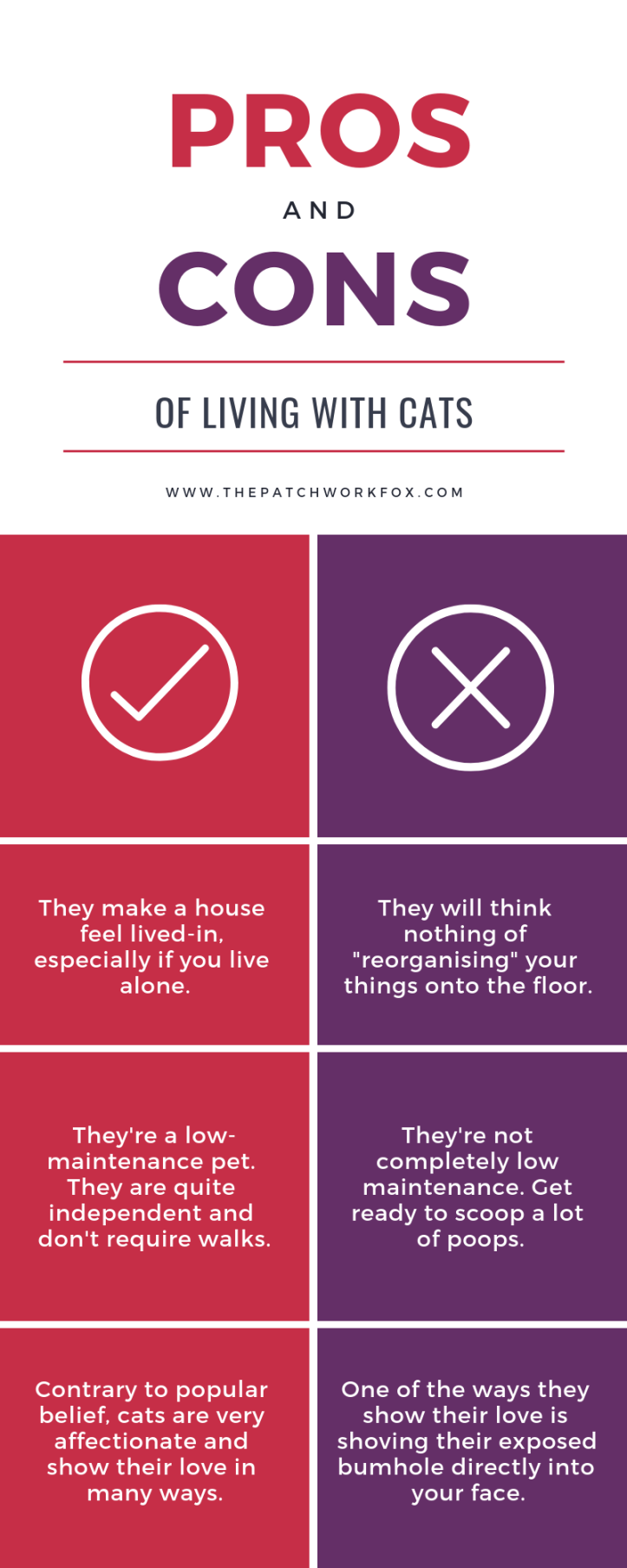 Pros and Cons of Living with Cats The Patchwork Fox