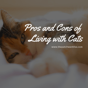 Pros and Cons of Living with Cats The Patchwork Fox
