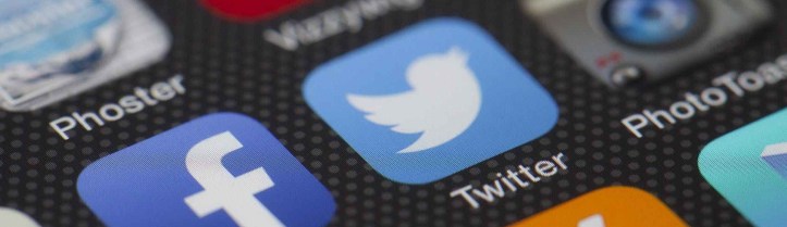 twitter the patchwork fox