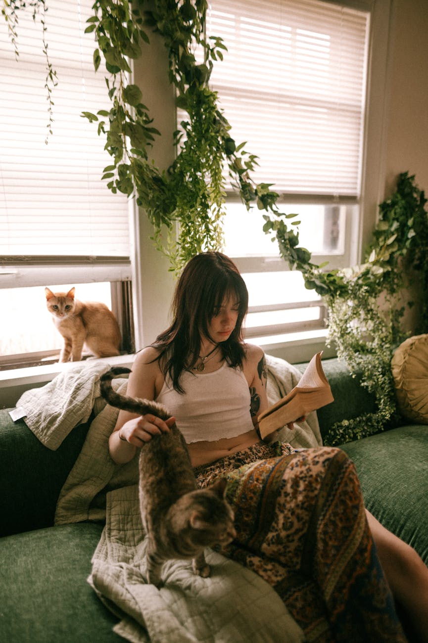 A woman sitting on a sofa, reading a book. There is a cat next to her that she is stroking, and a cat in the window sill behind her. (wallflowerhaze.com)