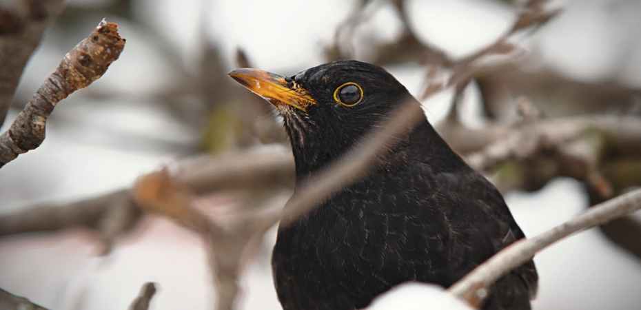 Lessons From My Grandad (thepatchworkfox.com)