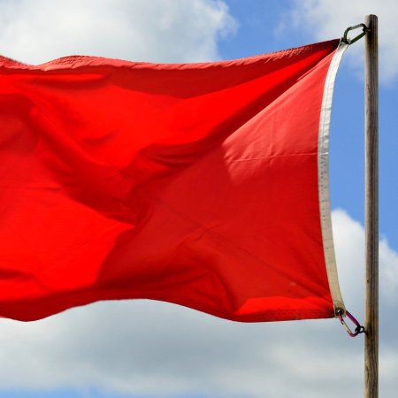 The Red Flags I Ignored (thepatchworkfox.com)