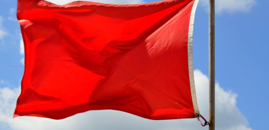 The Red Flags I Ignored (thepatchworkfox.com)