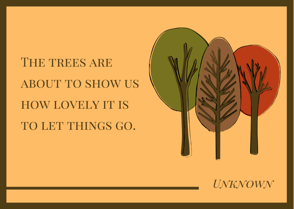 The trees are about to show us how lovely it is to let things go - Unknown