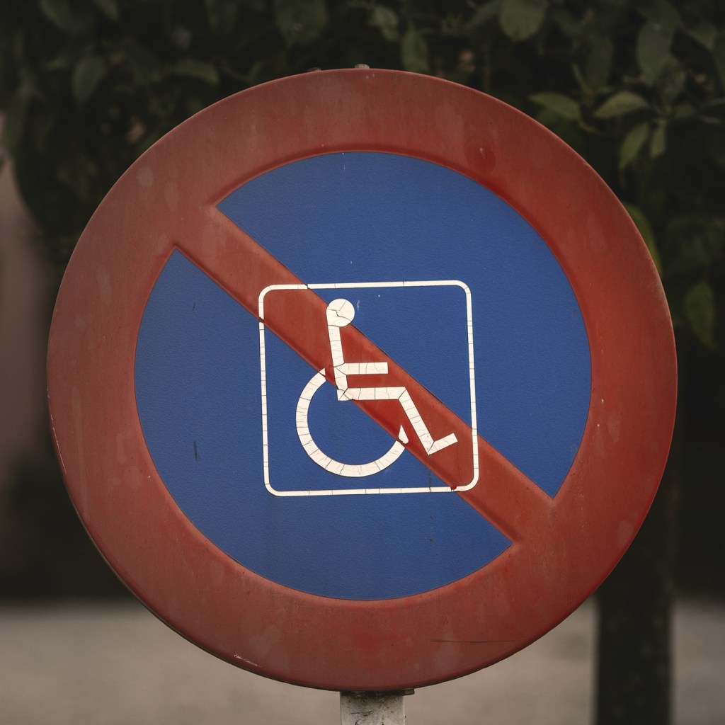 Barriers: Disability and Accessibility (thepatchworkfox.com)