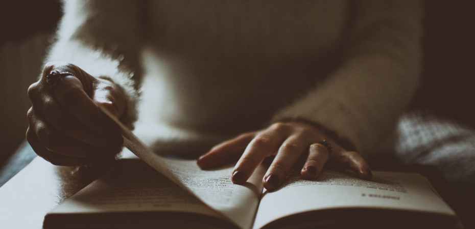 Person reading a book