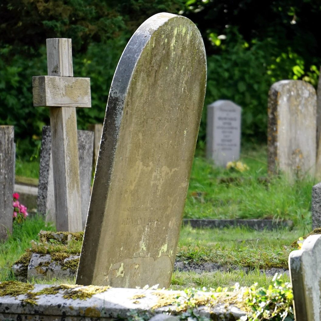 A graveyard. (wallflowerhaze.com)