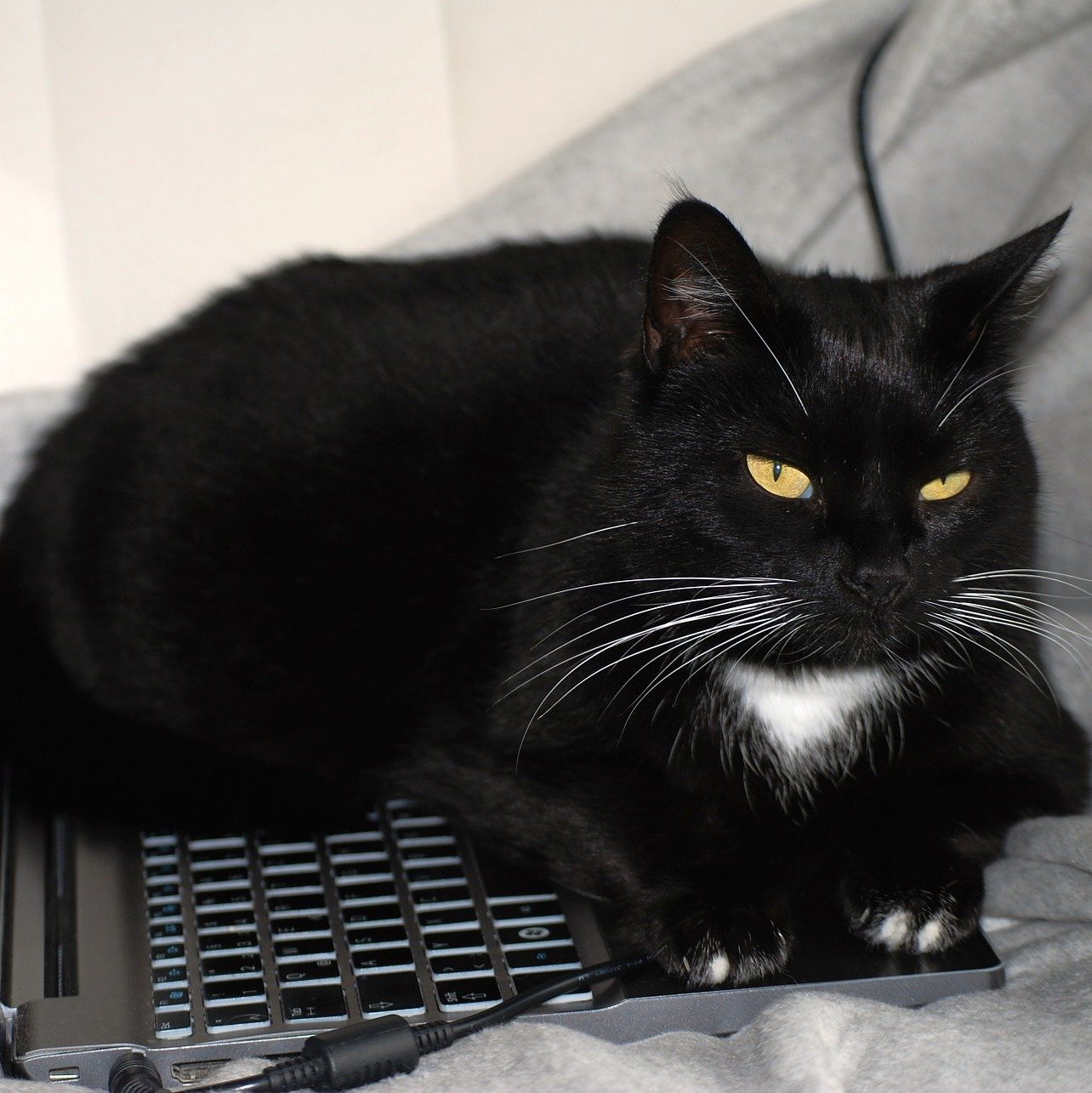 5 Signs It's Time To Reconsider Your Use Of Social Media (wallflowerhaze.com)