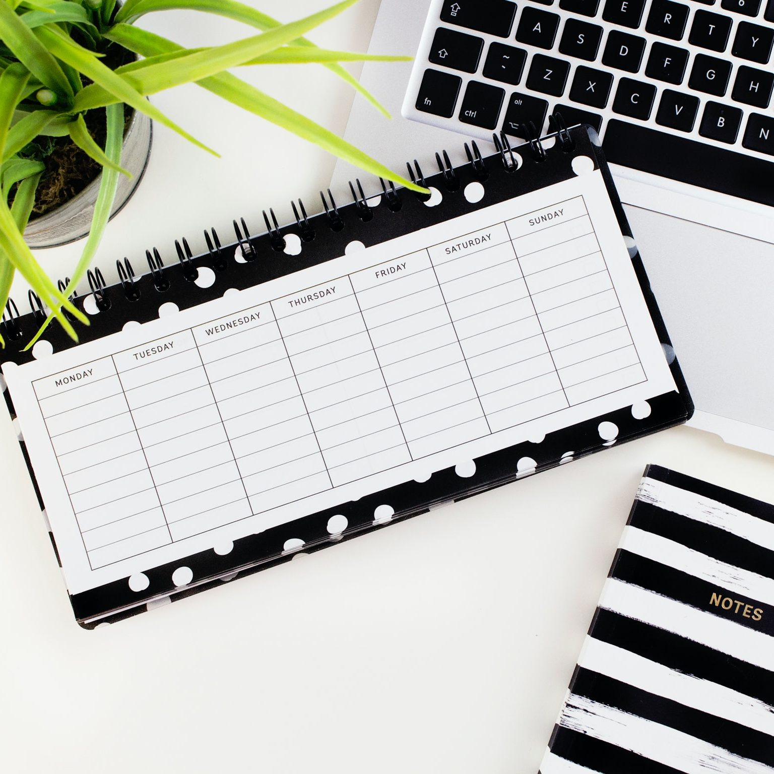 5 Signs It's Time To Reconsider Your Use Of Social Media (wallflowerhaze.com)