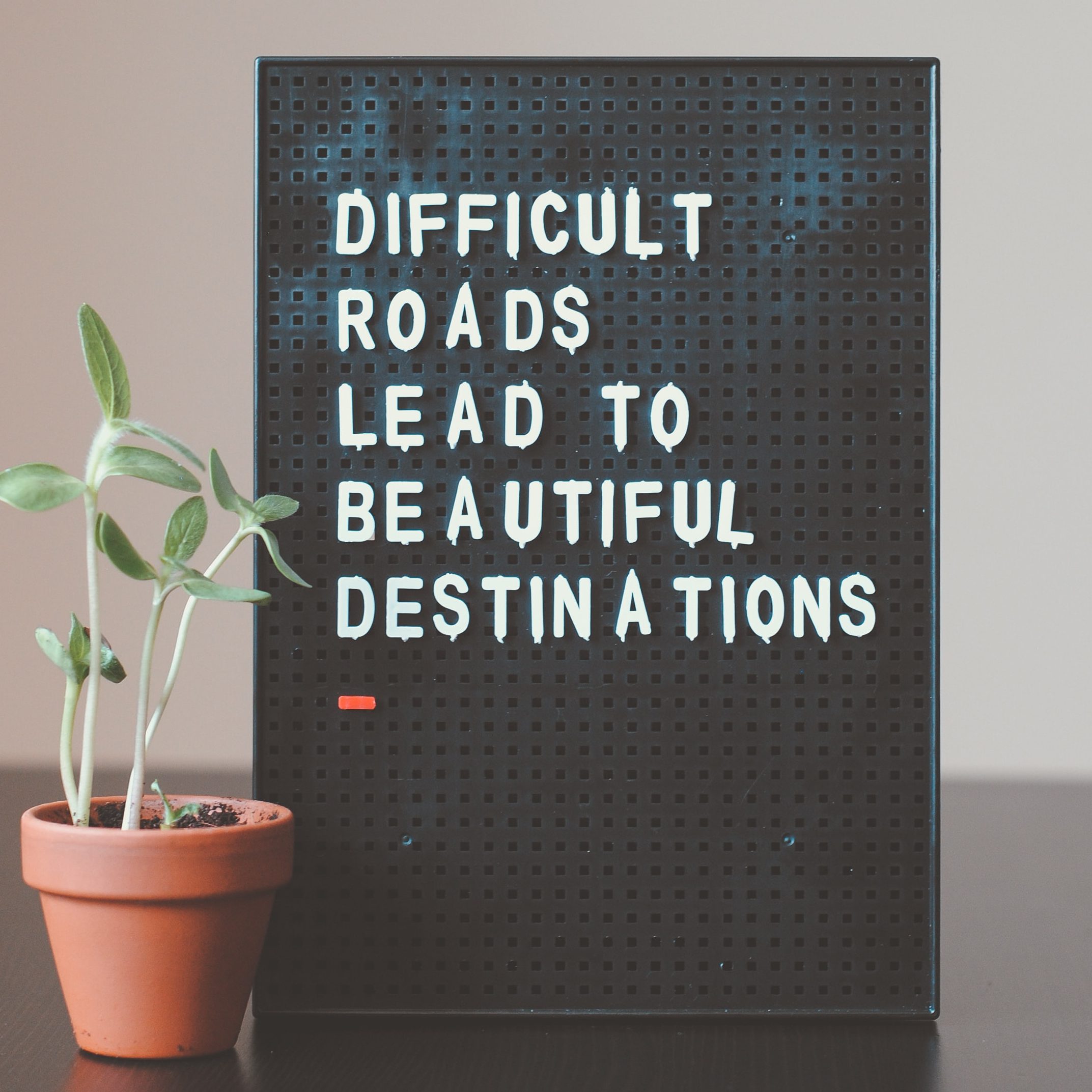 "Difficult roads lead to beautiful destinations" How Recovering From Mental Illness Can Make You Sicker (wallflowerhaze.com)