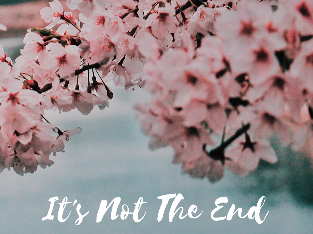 It's Not The End (wallflowerhaze.com)