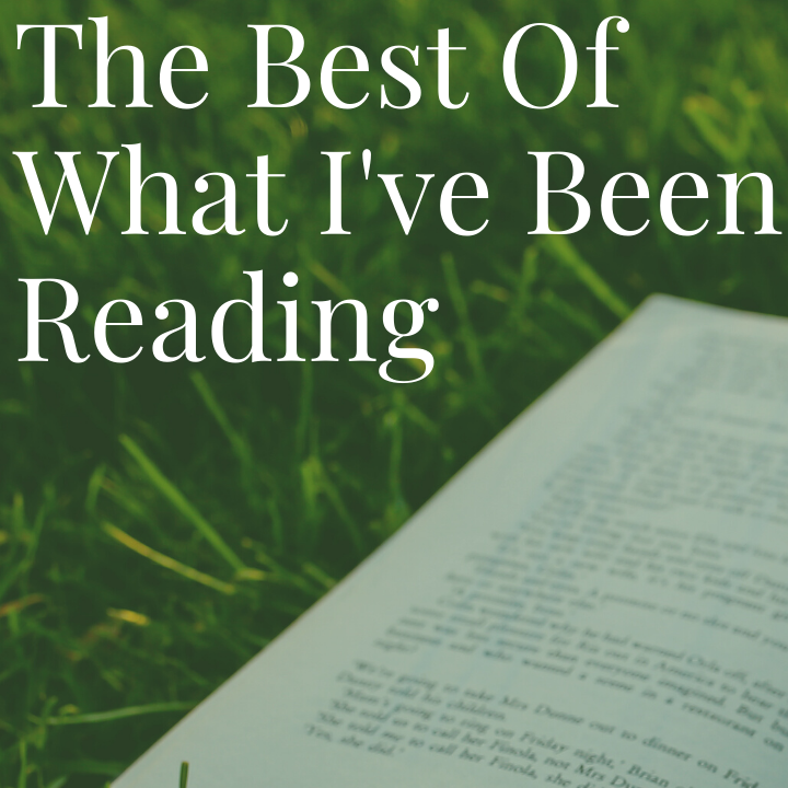 The Best Of What I've Been Reading (wallflowerhaze.com)